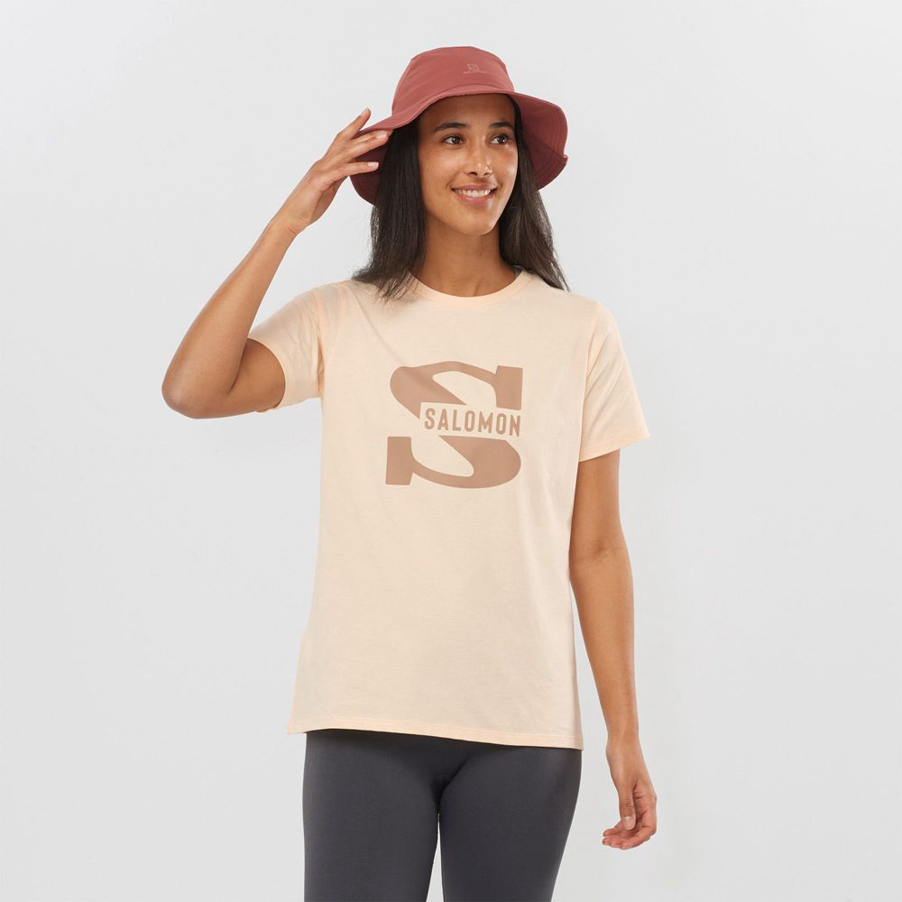 Salomon Israel OUTLIFE BIG LOGO - Womens T shirts - Beige (KVHR-91260)